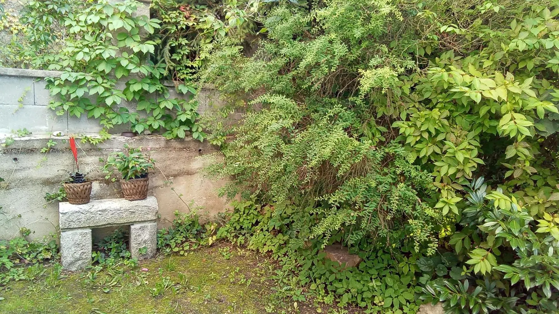 Pension Baron Schoeneck Karlsbad